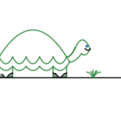 Image of Turtle Picture