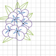 Flower Graph